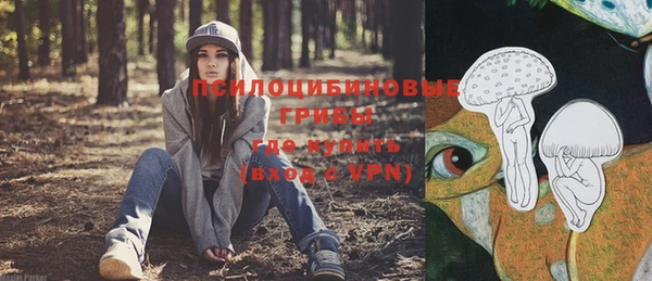 mdpv Нягань