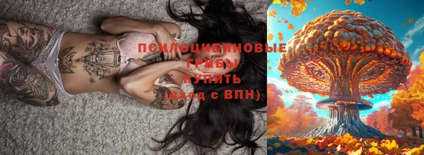 mdpv Нягань