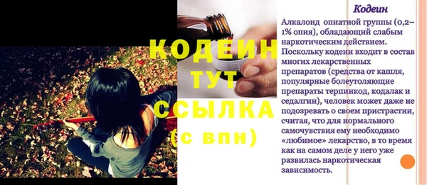 стафф Осинники