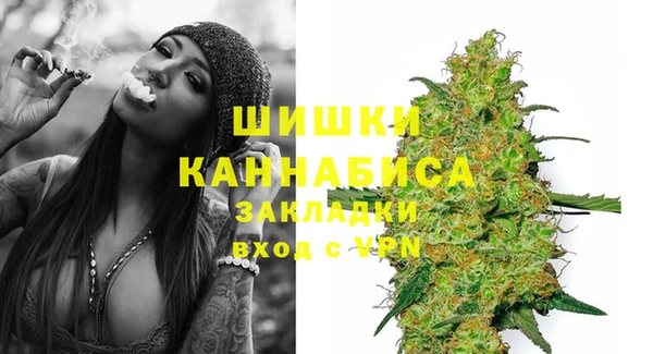 ГАЛЛЮЦИНОГЕННЫЕ ГРИБЫ Осташков