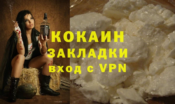 mdpv Няндома