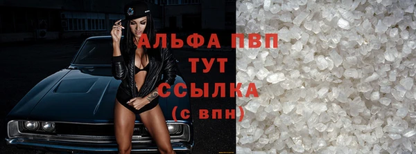 ГАЛЛЮЦИНОГЕННЫЕ ГРИБЫ Осташков