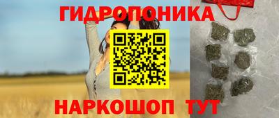 прущие грибы Абакан