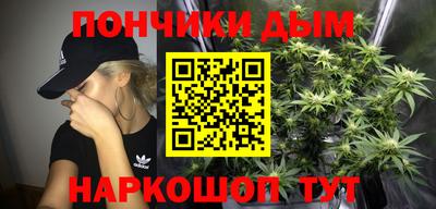 прущие грибы Абакан