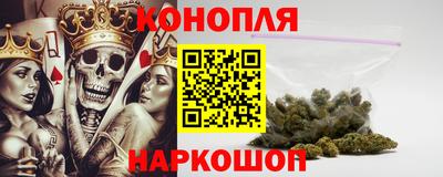 прущие грибы Абакан