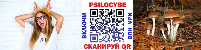 OMG ссылки  Абакан  Галлюциногенные грибы мухоморы 