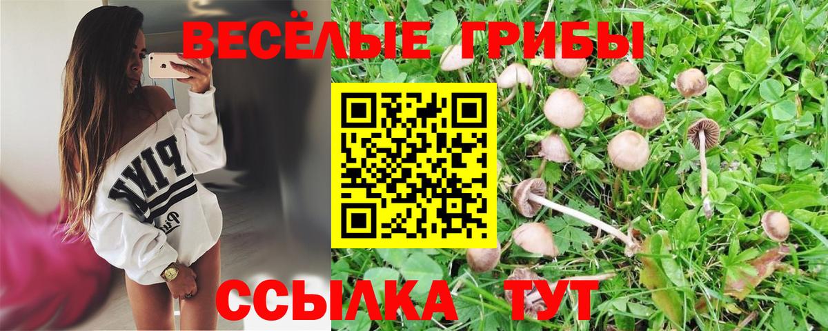Абакан  Псилоцибиновые грибы MAGIC MUSHROOMS  Вход с VPN  Псилоцибиновые грибы Magic Shrooms 