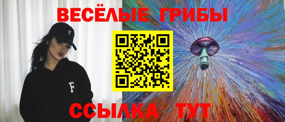 Псилоцибиновые грибы прущие грибы Абакан