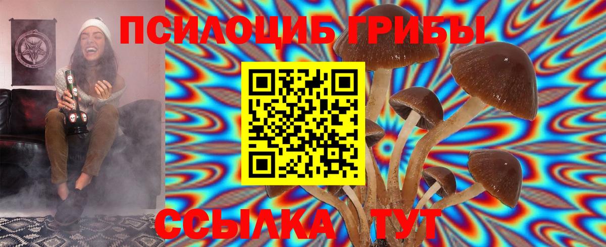 Псилоцибиновые грибы ЛСД  купить  цена  Галлюциногенные грибы Psilocybine cubensis  Абакан 